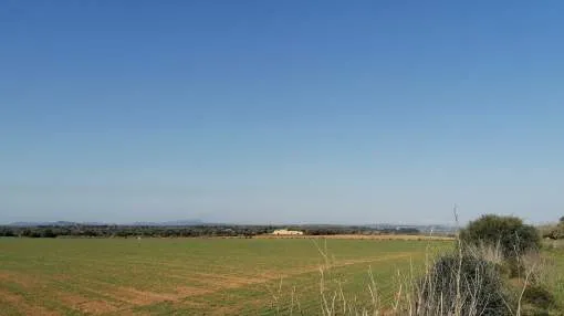 Spacious building plots between Villafranca and Manacor Spacious building plots between Villafranca and Manacor